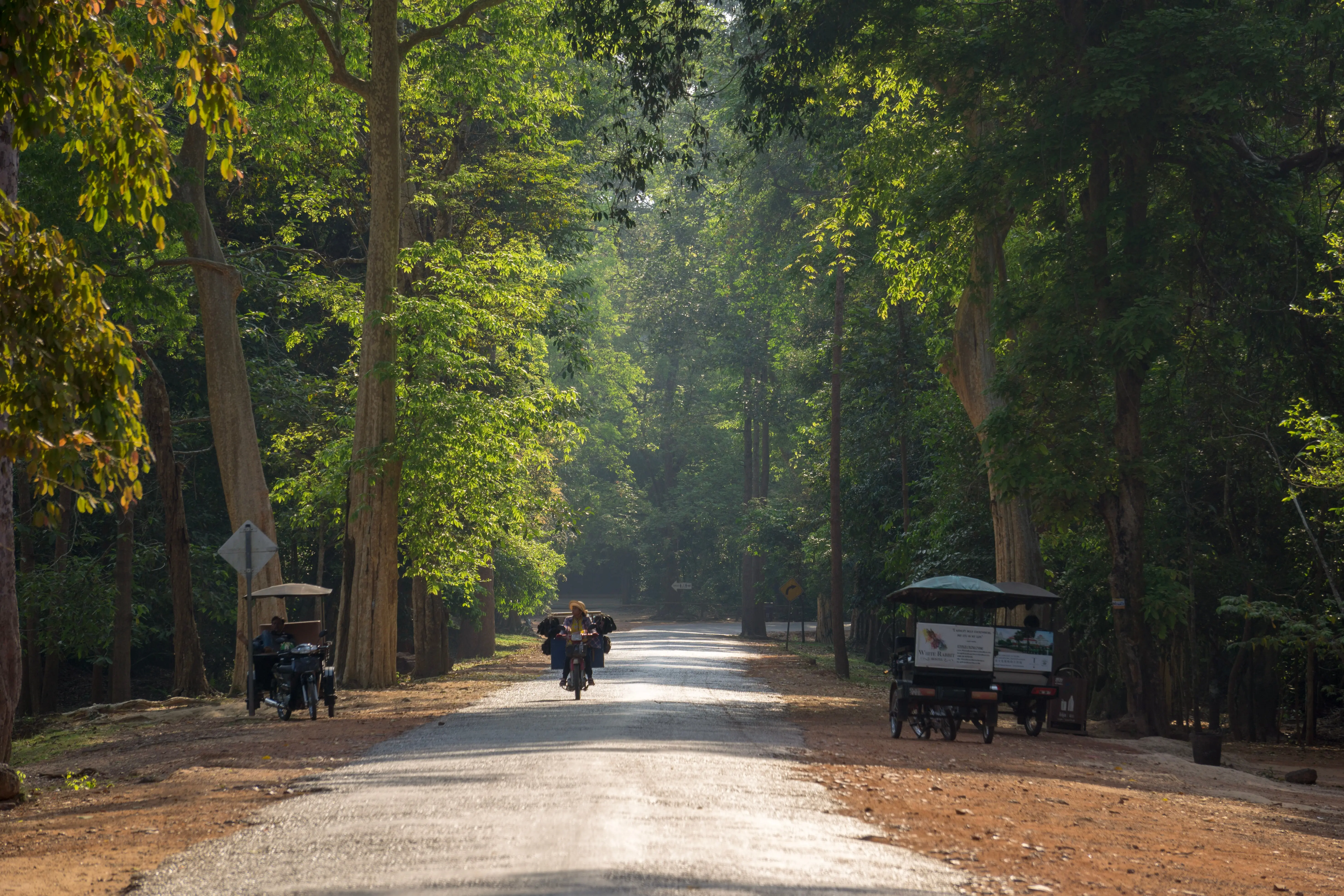 Full-Day Angkor Wat Sunrise Private Tour with Guide